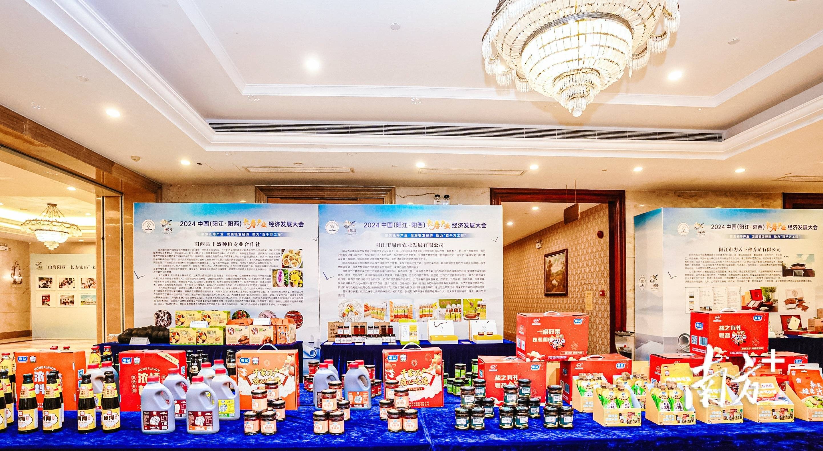 陽(yáng)西長(zhǎng)壽食品展精彩紛呈,富硒健康農(nóng)副產(chǎn)品受青睞