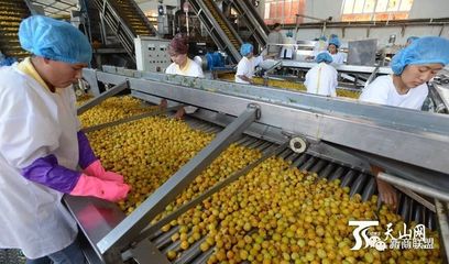 巴州 臨空經濟正起航，農副產品翱翔天際